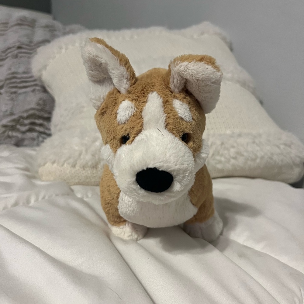 Corgi Jelly Cat